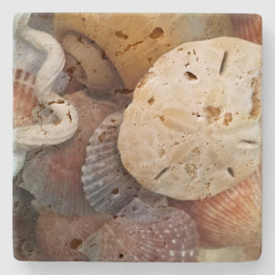 Seashells Sand Dollar Stenunderlägg