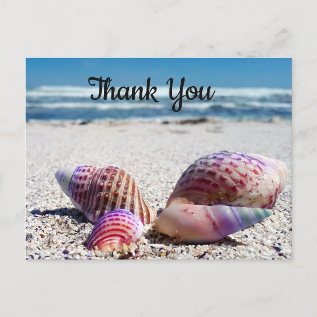 Seashells Sandy Beach Ocean Tack Postcard Vykort (Framsida)