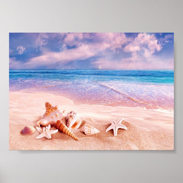 Seashells Sea Beach Poster (Framsidan)