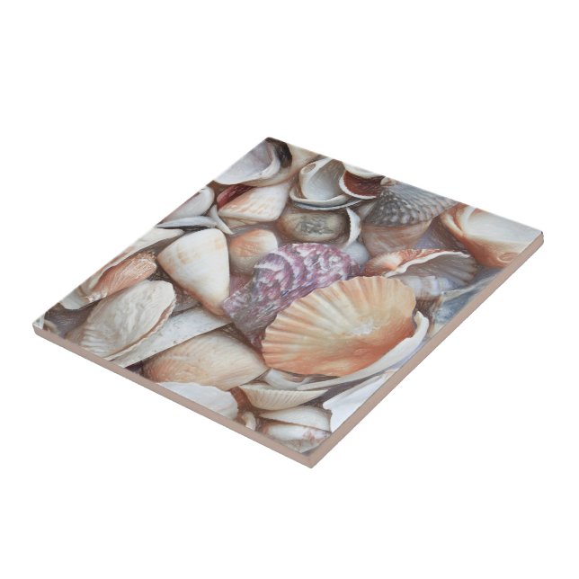 Seashells Sketch Ocean Nautical Beach Thmet Kakelplatta (Sidan)