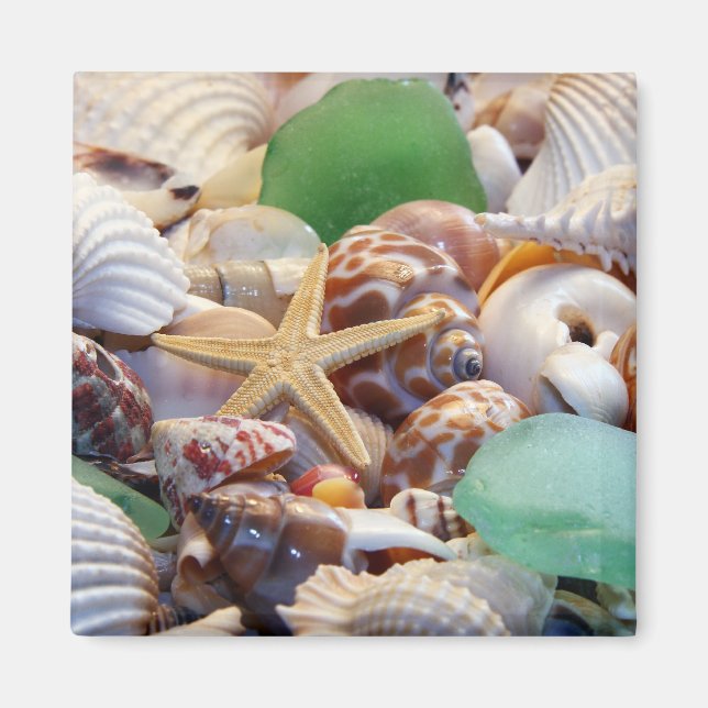 Seashells Starfish & Beach Glass Magnet (Framsidan)