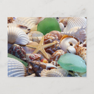 Seashells Starfish & Beach Glass Postcard Vykort