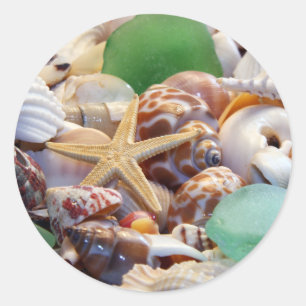 Seashells Starfish & Beach Glass Stickers Runt Klistermärke