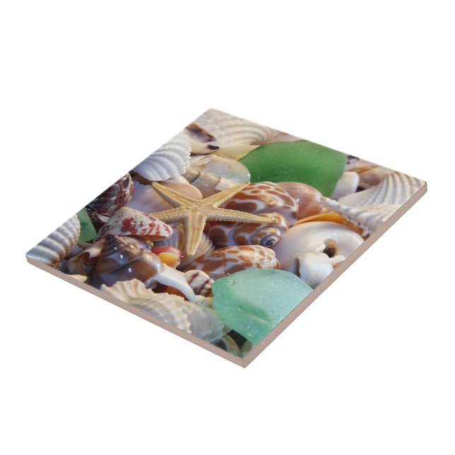 Seashells & Starfish Tile Kakelplatta (Sidan)