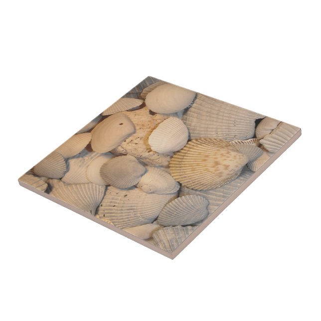 Seashells Tile Kakelplatta (Sidan)