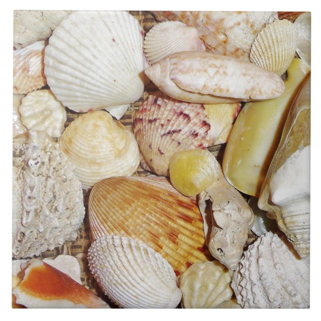 Seashells Tile Kakelplatta (Framsidan)