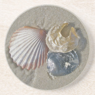 Seashells Underlägg