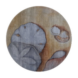 Seashells vid kusten