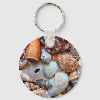 Seashells vid kusten nyckelring