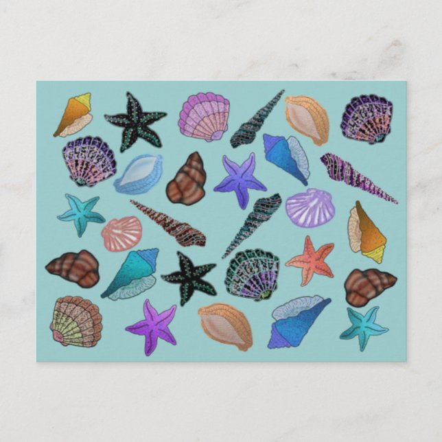 Seashells Vykort (Framsida)