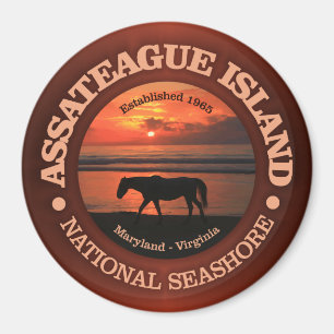 Seashore för Assateague ömedborgare Magnet