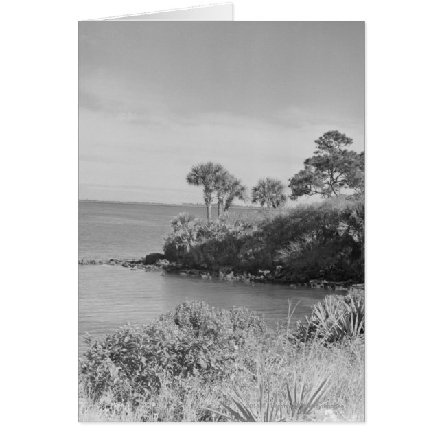 Seashore Hälsningskort (Framsidan)