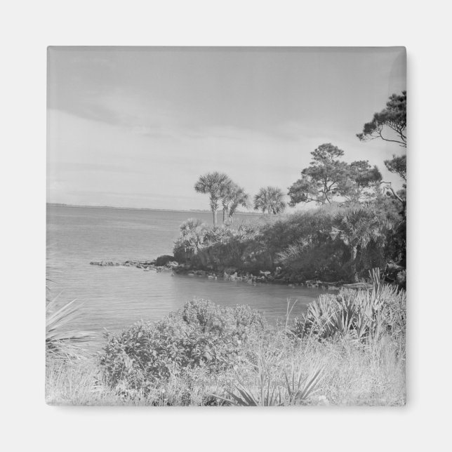 Seashore Magnet (Framsidan)