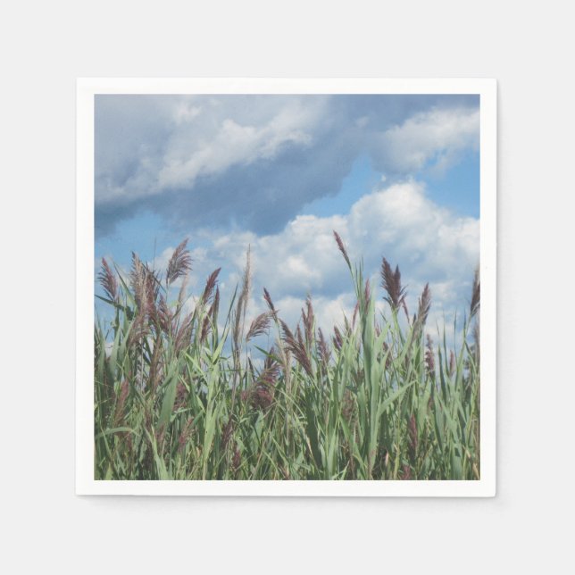 Seashore Marsh Grass Pappersservett (Framsidan)
