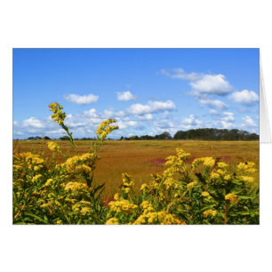 Seashore Marsh Notecard OBS Kort