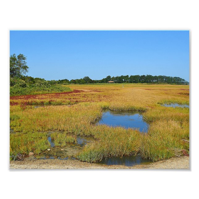 Seashore Marsh Photo Print Fototryck (Framsidan)