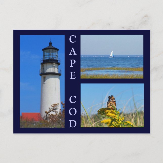 Seashore Scenes Vykort (Framsida)