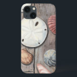 Seashore Treasures<br><div class="desc">Megan Meagher är känd för sin enkla konst biet. Den här bilden fångar enkelheten i kustbordets skatter, inklusive sanddollar och segelceller i en pastellfärgad färgad. Meagher innehåller en bakgrund av trä i bilden för att kontrastera dessa skatter. Få den här bran på färg på din Zazzle-produkt.</div>