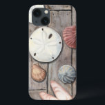 Seashore Treasures<br><div class="desc">Megan Meagher är känd för sin enkla konst biet. Den här bilden fångar enkelheten i kustbordets skatter,  inklusive sanddollar och segelceller i en pastellfärgad färgad. Meagher innehåller en bakgrund av trä i bilden för att kontrastera dessa skatter. Få den här bran på färg på din Zazzle-produkt.</div>