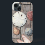 Seashore Treasures<br><div class="desc">Megan Meagher är känd för sin enkla konst biet. Den här bilden fångar enkelheten i kustbordets skatter,  inklusive sanddollar och segelceller i en pastellfärgad färgad. Meagher innehåller en bakgrund av trä i bilden för att kontrastera dessa skatter. Få den här bran på färg på din Zazzle-produkt.</div>