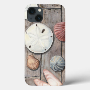 Seashore Treasures