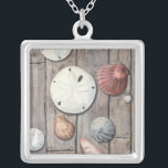Seashore Treasures Silverpläterat Halsband<br><div class="desc">Megan Meagher är känd för sin enkla konst biet. Den här bilden fångar enkelheten i kustbordets skatter,  inklusive sanddollar och segelceller i en pastellfärgad färgad. Meagher innehåller en bakgrund av trä i bilden för att kontrastera dessa skatter. Få den här bran på färg på din Zazzle-produkt.</div>