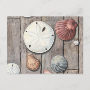 Seashore Treasures Vykort