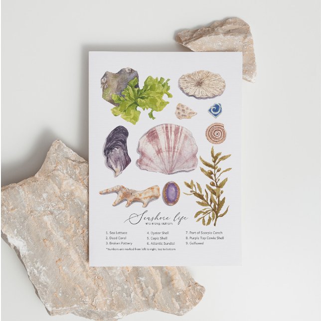 Seashore-vykort Helg Vykort (Skapare uppladdad)