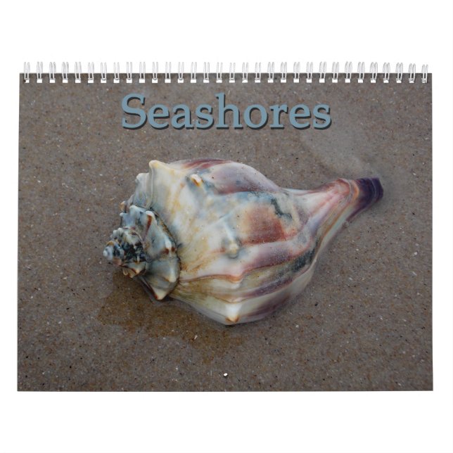 Seashoreskalender Kalender (Omslag)