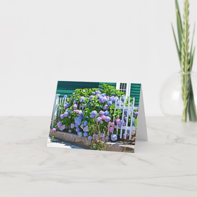 Seashorevanlig hortensia Notecard Kort (Framsida)