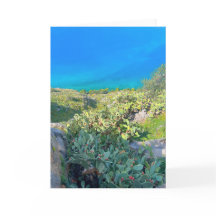 Seaside Cactus Nafplion Grekland