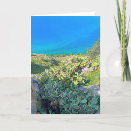 Seaside Cactus Nafplion Grekland Kort