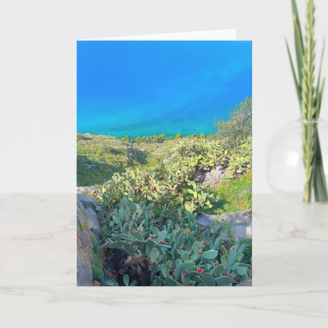 Seaside Cactus Nafplion Grekland Kort (Framsida)