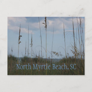 Seaside Dreams - North Myrtle Beach, SC Vykort