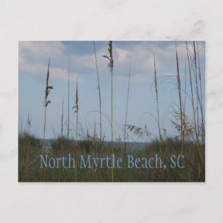 Seaside Dreams - North Myrtle Beach, SC Vykort