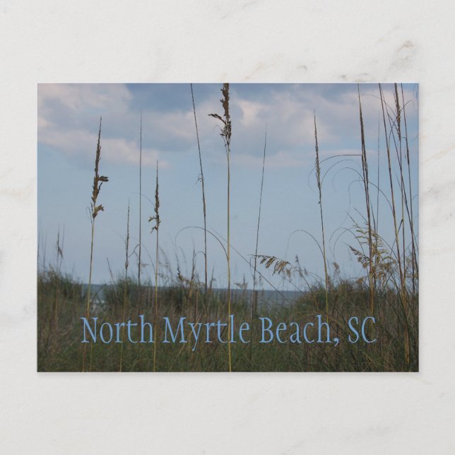 Seaside Dreams - North Myrtle Beach, SC Vykort (Framsida)