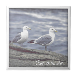 Seaside Fiskmåsar Kakelplatta