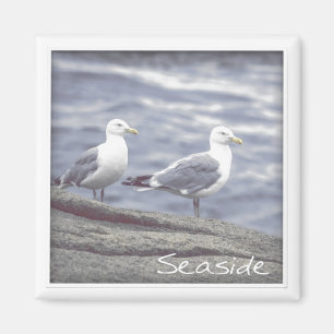Seaside Fiskmåsar Magnet