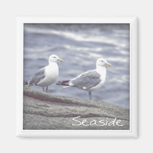 Seaside Fiskmåsar Magnet (Framsidan)
