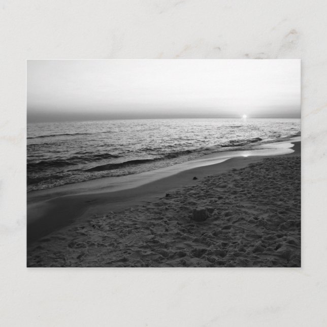 Seaside Florida sunset Black & white vycard Vykort (Framsida)