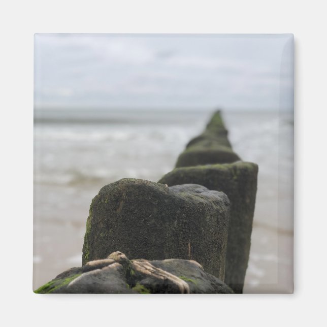 Seaside Magnet (Framsidan)