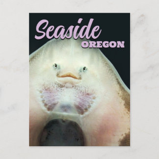 Seaside, Oregon Rulla Djur Vykort