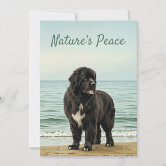Seaside Serenity - Newfoundland Hund Nature Inbjudningar