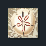 Seaside Sonnet III Canvastryck<br><div class="desc">Havsliv</div>