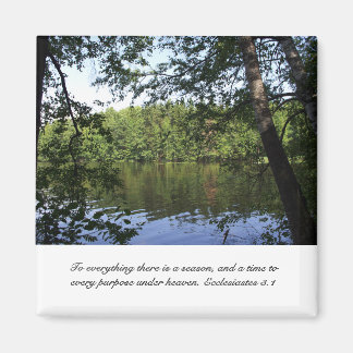 Season Ecclesiastes Sjö Forest Magnet