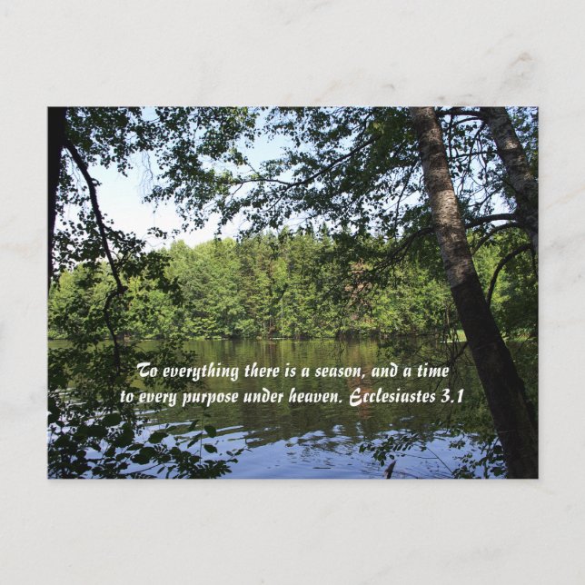 Season Ecclesiastes Sjö Forest Vykort (Framsida)