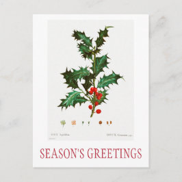 SEASON:S GREETINGS CHRISTMAS POSTCARD VYKORT