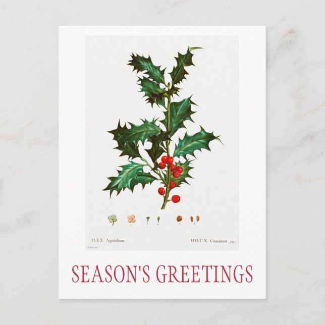 SEASON:S GREETINGS CHRISTMAS POSTCARD VYKORT (Framsida)