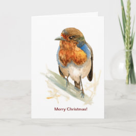 Seasonal greeting card with a European Robin Kort