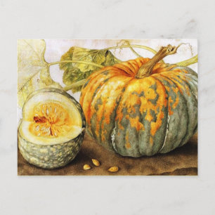 SEASONFRUKT/PUMPKINS Halloween, Thanksgiving Vykort